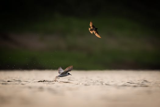 晶科电子2.68亿参设基金 携广州国资重仓第三代半导体