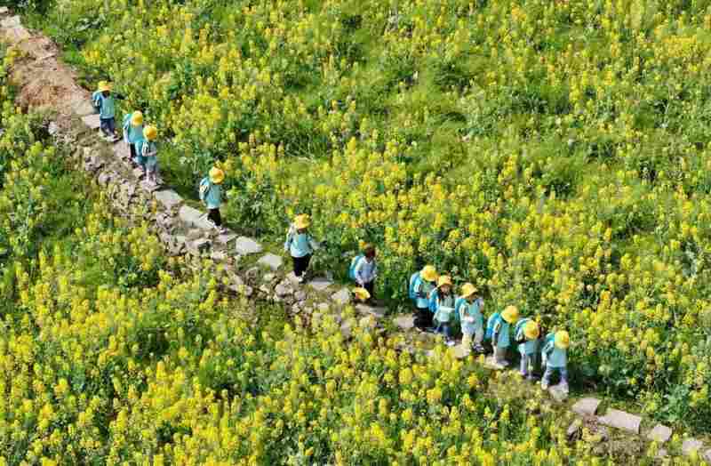  中小学春假政策落地，多地陆续公布安排；家长期待与担忧并存。 教育招生