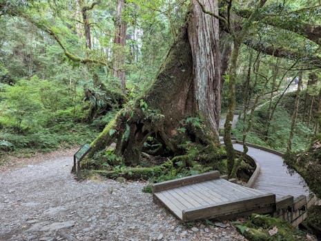  中东紧张局势升级；国际银行调整迪拜与卡塔尔业务布局。 股票财经 中东紧张局势升级；国际银行调整迪拜与卡塔尔业务布局。 股票财经 中东紧张局势升级；国际银行调整迪拜与卡塔尔业务布局。 股票财经