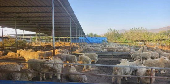  两会政策暖风吹拂县域；特色产业活力迸发；普惠金融深入基层。 新闻 两会政策暖风吹拂县域；特色产业活力迸发；普惠金融深入基层。 新闻 两会政策暖风吹拂县域；特色产业活力迸发；普惠金融深入基层。 新闻 两会政策暖风吹拂县域；特色产业活力迸发；普惠金融深入基层。 新闻