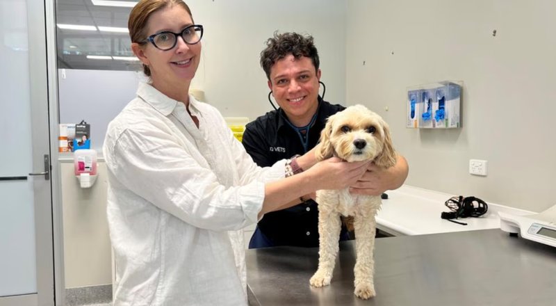  【深度揭秘：AI辅助医疗的边界与突破】——普通人如何重构生命救助路径 IT技术