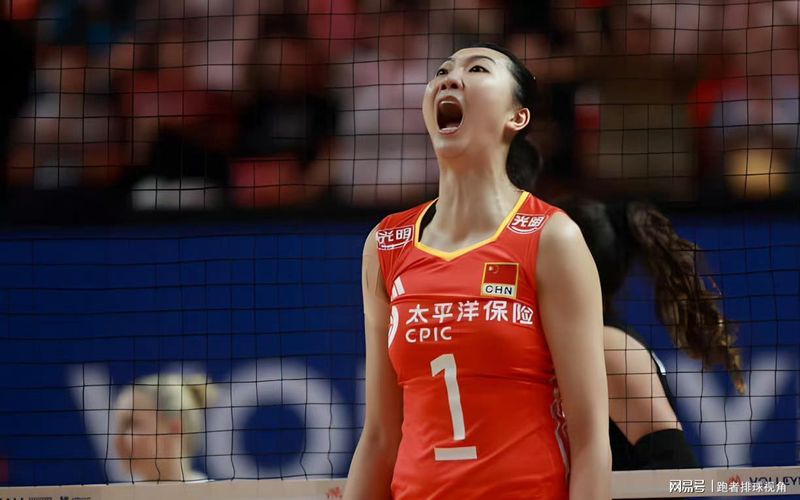  中国女排再出发：那些关于坚持与等待的动人故事 体育新闻