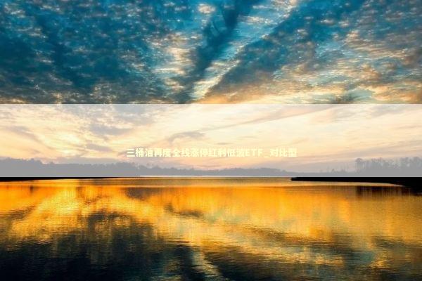 三桶油再度全线涨停红利低波ETF_对比型 新闻