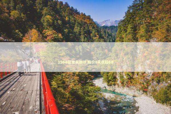 1500亿龙头涨停 股价8天涨超60