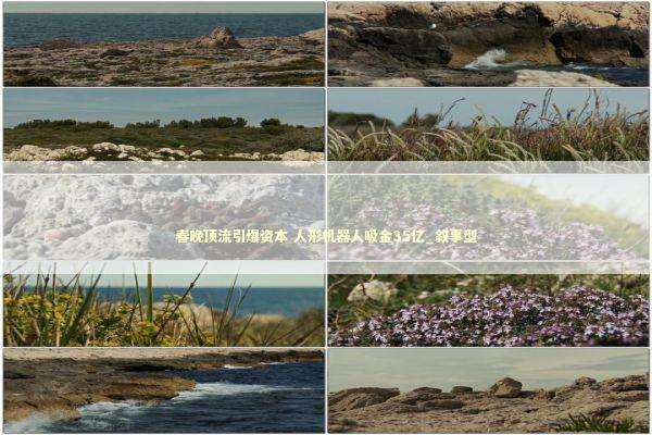 春晚顶流引爆资本 人形机器人吸金35亿_叙事型