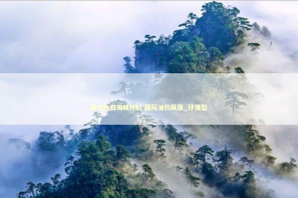 霍尔木兹海峡停航 国际油价飙涨_抒情型 新闻