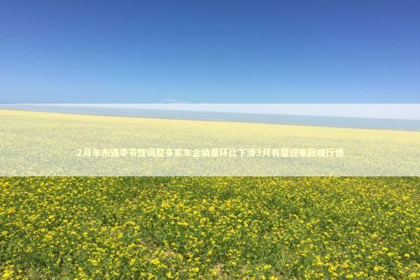 2月车市遇季节性调整多家车企销量环比下滑3月有望迎来回暖行情 新闻