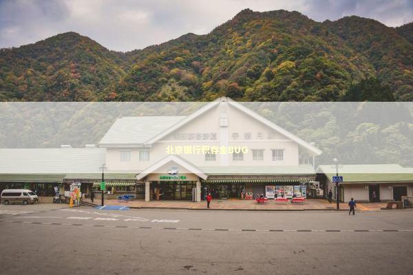 北京银行积存金BUG