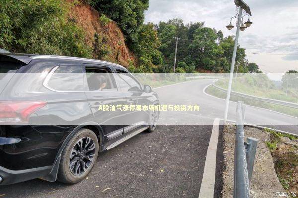 A股油气涨停潮市场机遇与投资方向