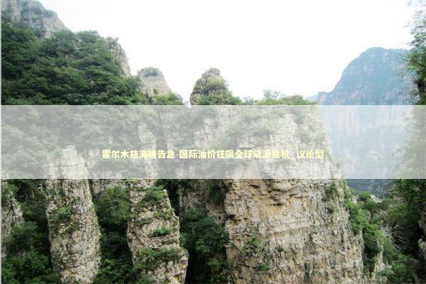 霍尔木兹海峡告急 国际油价狂飙全球能源危机_议论型