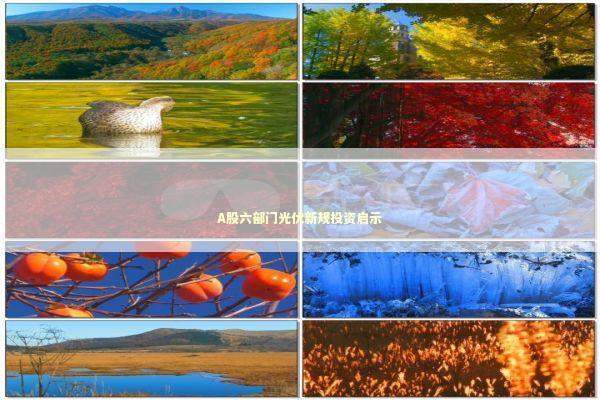 A股六部门光伏新规投资启示 新闻