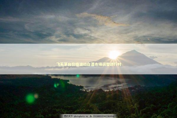 飞天茅台价格波动白酒市场调整进行时