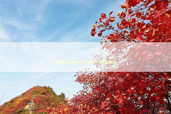 苹果M5芯片MacBookPro悬念解读 新闻