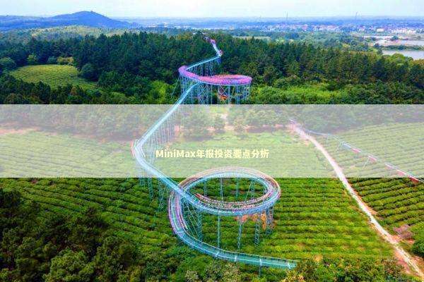 MiniMax年报投资要点分析