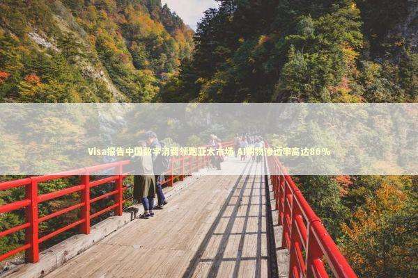 Visa报告中国数字消费领跑亚太市场 AI购物渗透率高达86% 新闻