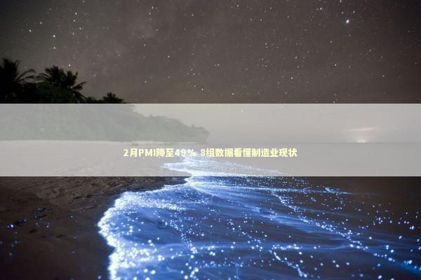 2月PMI降至49% 8组数据看懂制造业现状 新闻