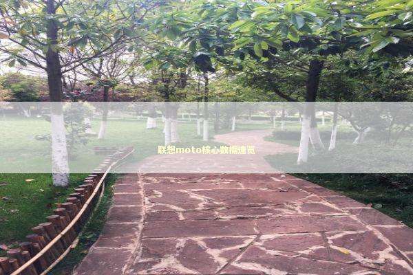 联想moto核心数据速览 新闻