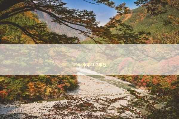 199-小米SU7事故 新闻