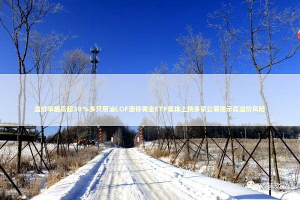溢价率最高超30%多只原油LOF涨停黄金ETF集体上扬多家公募提示高溢价风险
