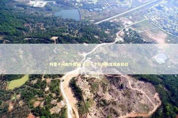 阿里千问内外交困 马云一个月内两度现身督战 新闻