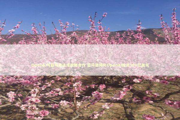 OpenAI与亚马逊达成战略合作 亚马逊将向OpenAI投资500亿美元