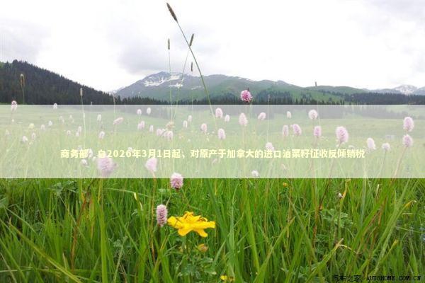 商务部：自2026年3月1日起，对原产于加拿大的进口油菜籽征收反倾销税