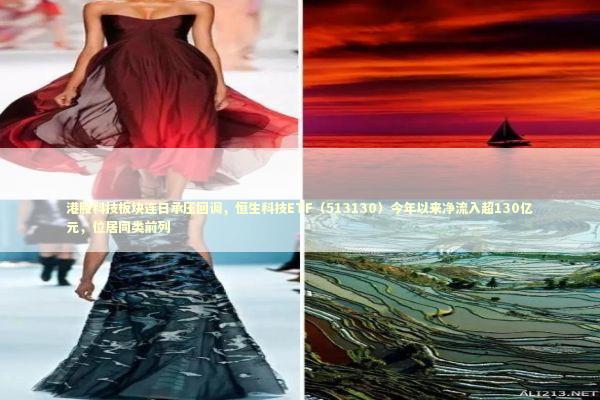 港股科技板块连日承压回调，恒生科技ETF（513130）今年以来净流入超130亿元，位居同类前列