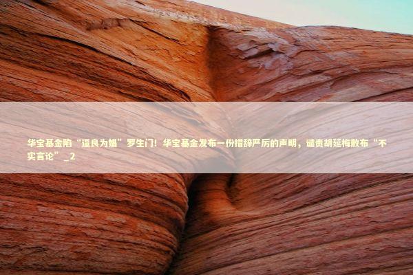 华宝基金陷“逼良为娼”罗生门！华宝基金发布一份措辞严厉的声明，谴责胡延梅散布“不实言论”_2