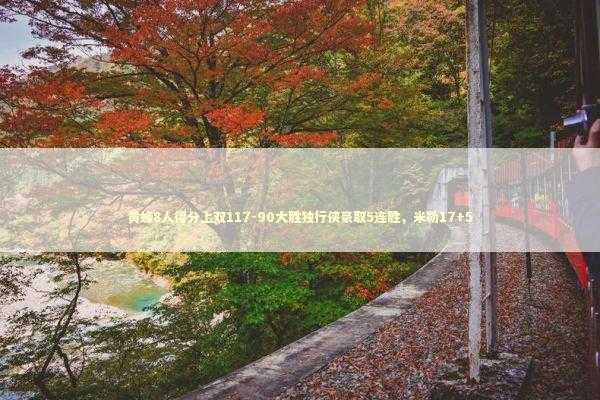 黄蜂8人得分上双117-90大胜独行侠豪取5连胜，米勒17+5