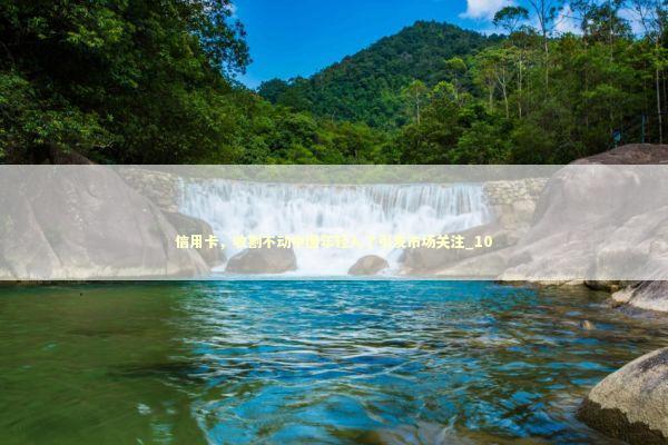 信用卡，收割不动中国年轻人了引发市场关注_10 新闻