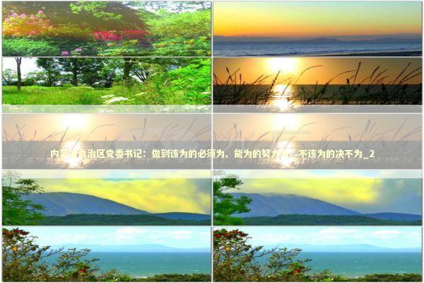 内蒙古自治区党委书记：做到该为的必须为、能为的努力为、不该为的决不为_2