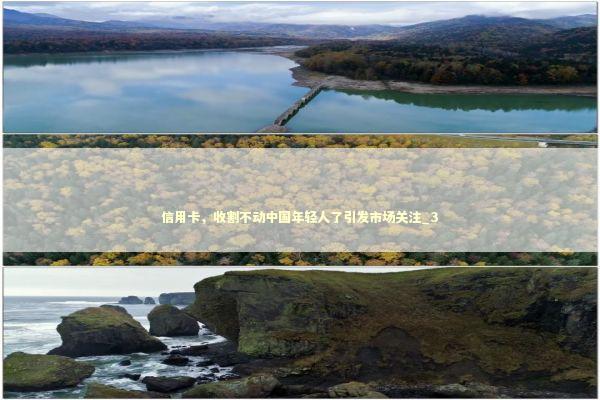 信用卡，收割不动中国年轻人了引发市场关注_3 新闻