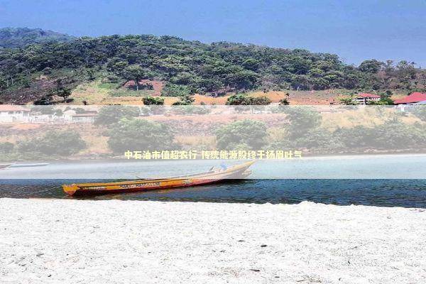 中石油市值超农行 传统能源股终于扬眉吐气 新闻