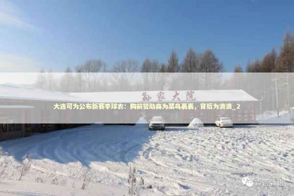 大连可为公布新赛季球衣：胸前赞助商为菜鸟裹裹，背后为滴滴_2