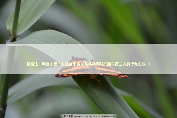 最高法：明确夫妻一方违反忠实义务将共同财产赠与第三人的行为无效_3 新闻