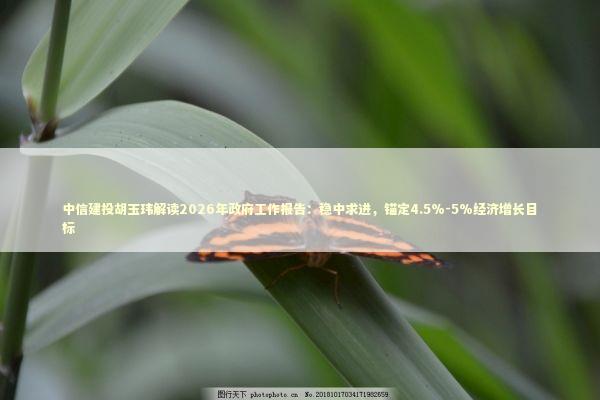 中信建投胡玉玮解读2026年政府工作报告：稳中求进，锚定4.5%-5%经济增长目标 新闻
