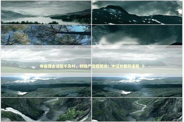 券商佣金调整不及时，转销户流程繁琐！中证协最新通报_5 新闻