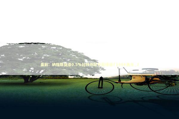 盘前：纳指期货涨0.5%比特币跃升至接近72000美元_2