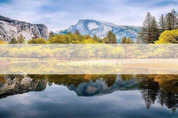 48只个股突破半年线引发市场关注_8 新闻