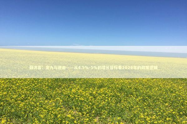 薛洪言：定力与进击——从4.5%-5%的增长目标看2026年的政策逻辑 新闻