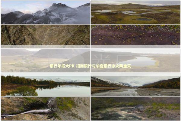 银行年报大PK 招商银行与华夏银行冰火两重天