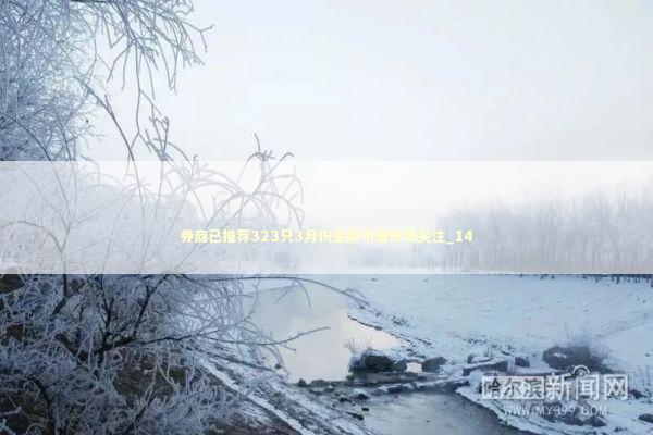 券商已推荐323只3月份金股引发市场关注_14 新闻