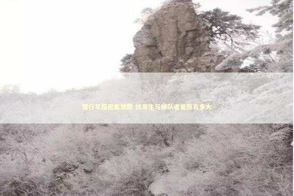 银行年报密集披露 优等生与掉队者差距有多大