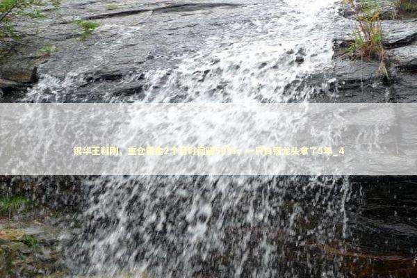 银华王利刚，重仓黄金2个月时间赚50%，一只白银龙头拿了5年_4