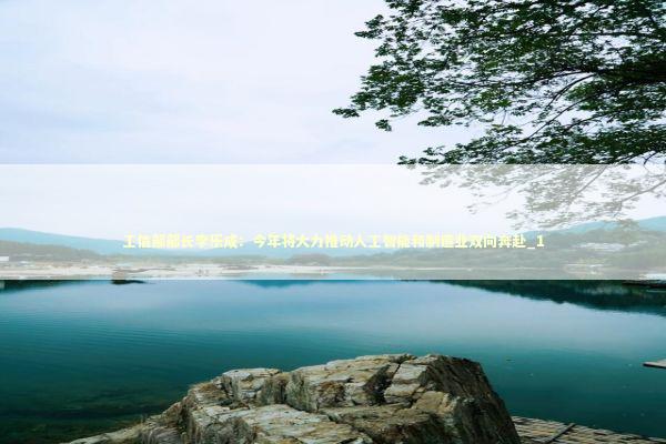 工信部部长李乐成：今年将大力推动人工智能和制造业双向奔赴_1