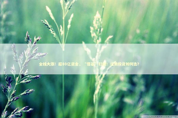 全线大涨！超80亿资金，“借基”扫货！这类投资如何选？