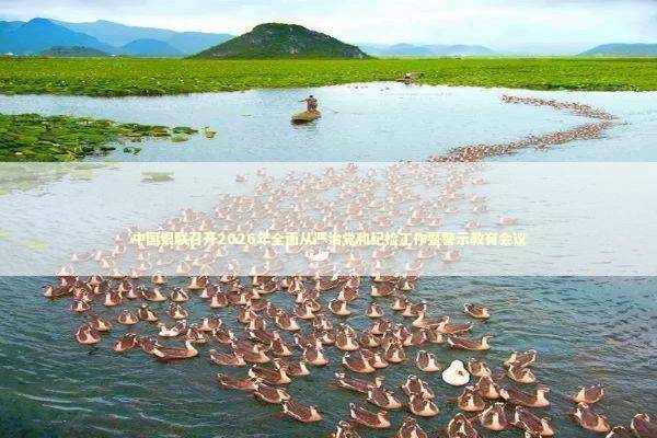 中国银联召开2026年全面从严治党和纪检工作暨警示教育会议