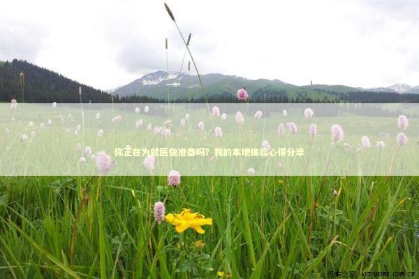 你正在为就医做准备吗？我的本地体验心得分享