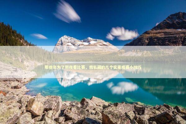 那些年为了熬夜看比赛，我私藏的几个实用观赛小技巧 体育新闻