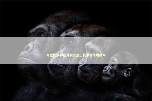 专业团队都在用的安全工具平台搭建指南 IT技术